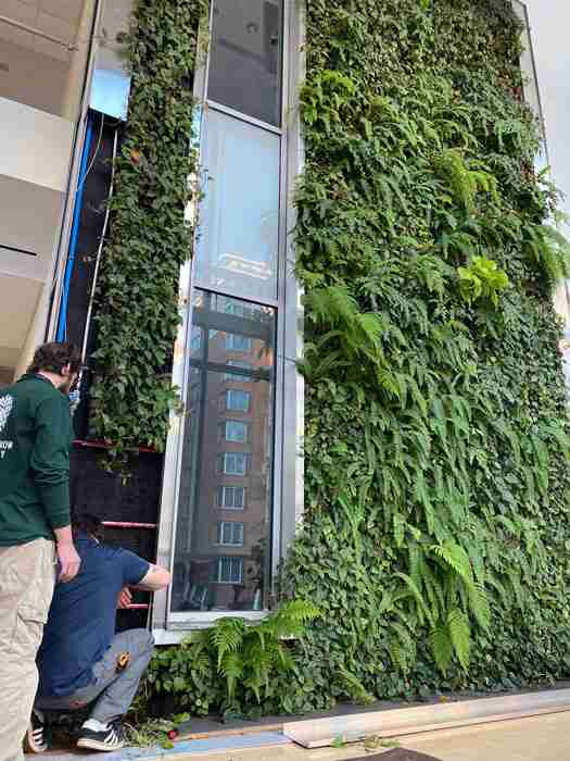 U.S. Plants Provide Interior Plant Design & Maintenance, Exterior & Green Roofs, Living Plant Walls, Moss Wall, Holidays