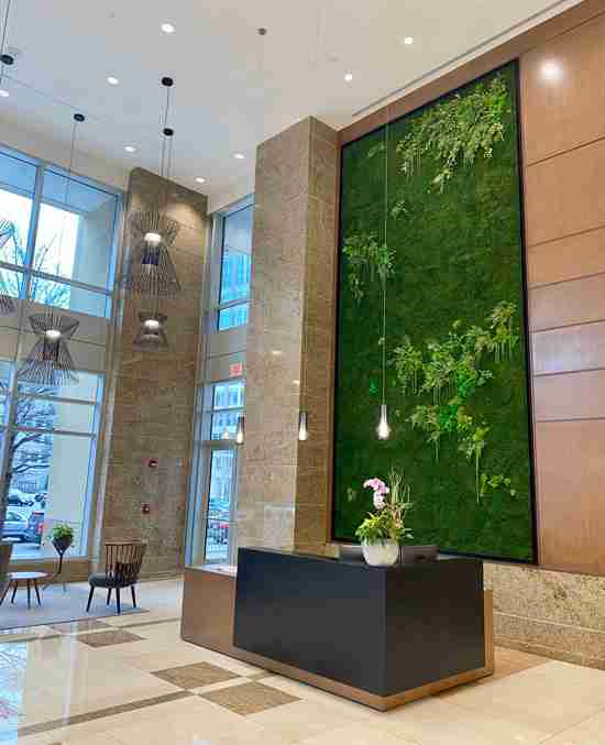 U.S. Plants Provide Interior Plant Design & Maintenance, Exterior & Green Roofs, Living Plant Walls, Moss Wall, Holidays