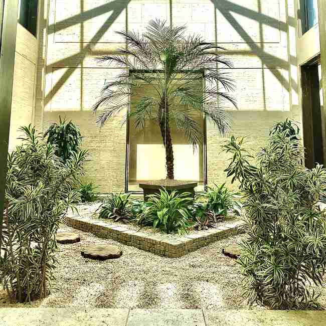 U.S. Plants - Interior Plant Design & Maintenance