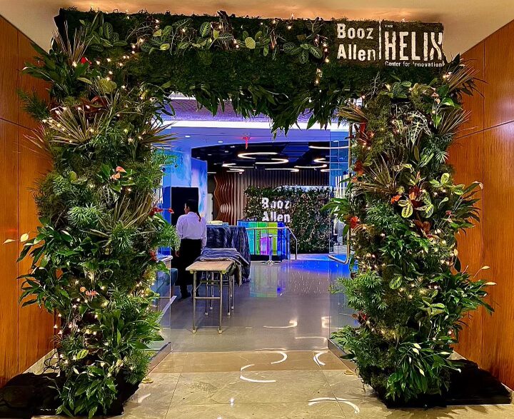 U.S. Plants Provide Interior Plant Design & Maintenance, Exterior & Green Roofs, Living Plant Walls, Moss Wall, Holidays, Artificial Plants and Rental Plants